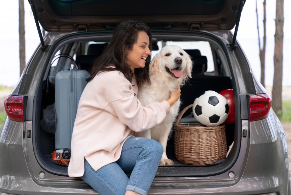Viajar en verano con mascotas: todo lo que debes saber antes de salir